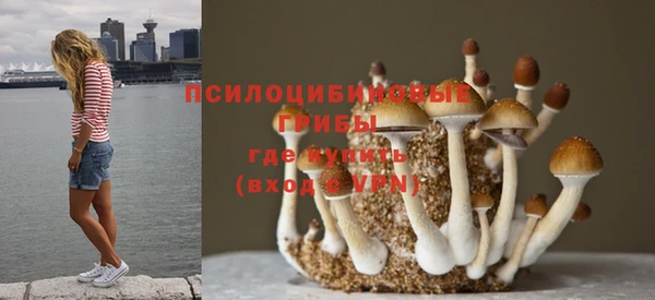 скорость mdpv Дмитриев