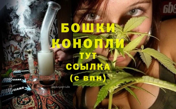 спайс Дмитров