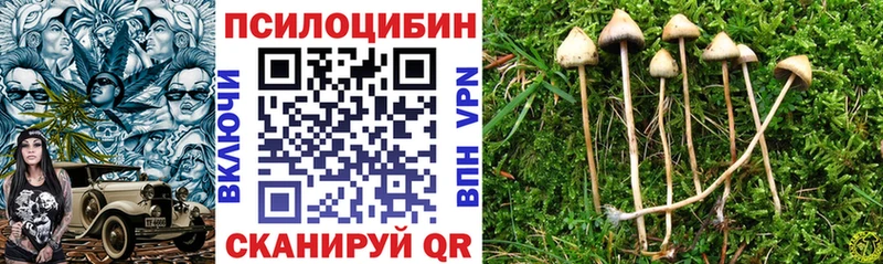 как найти   Шахты  Псилоцибиновые грибы мицелий 